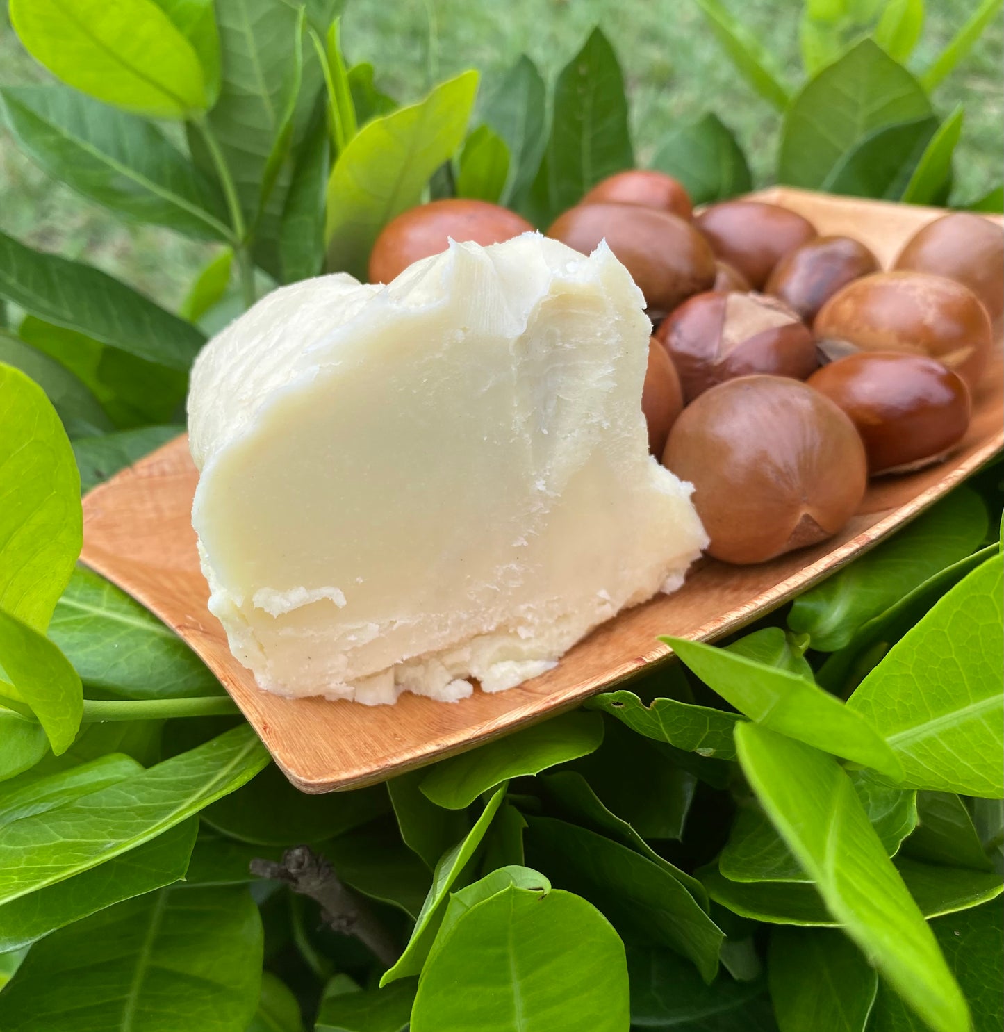10 kg Shea Butter (UNREFINED)